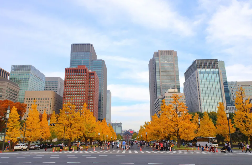 Tokyo Station in autumn for a Kanto foliage route using Haneda or Narita
