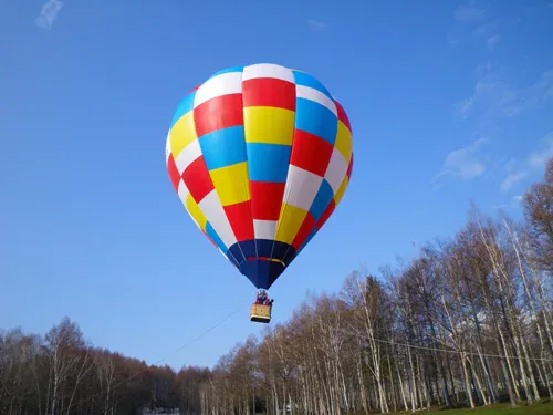 Tethered hot-air balloon experience over the green Furano countryside
