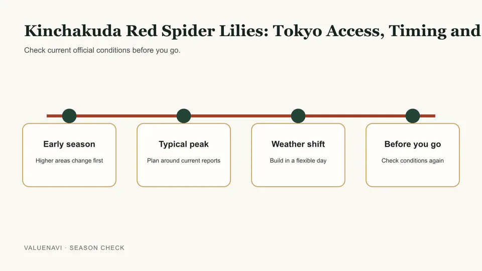 Decision flow for checking Kinchakuda red spider lily bloom status before travelling from Tokyo