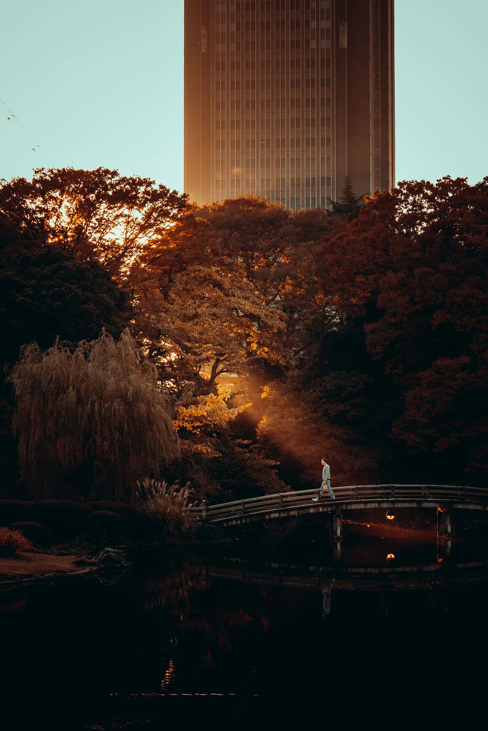 Tokyo winter sightseeing in January: removable layers work better than one oversized coat when moving between cold streets and heated indoor spaces.