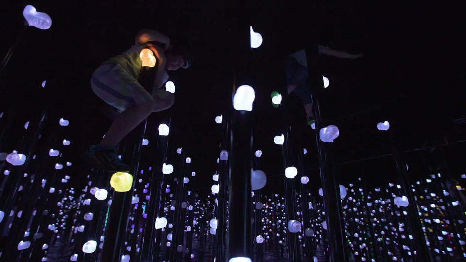 Athletics Forest ที่ teamLab Biovortex Kyoto