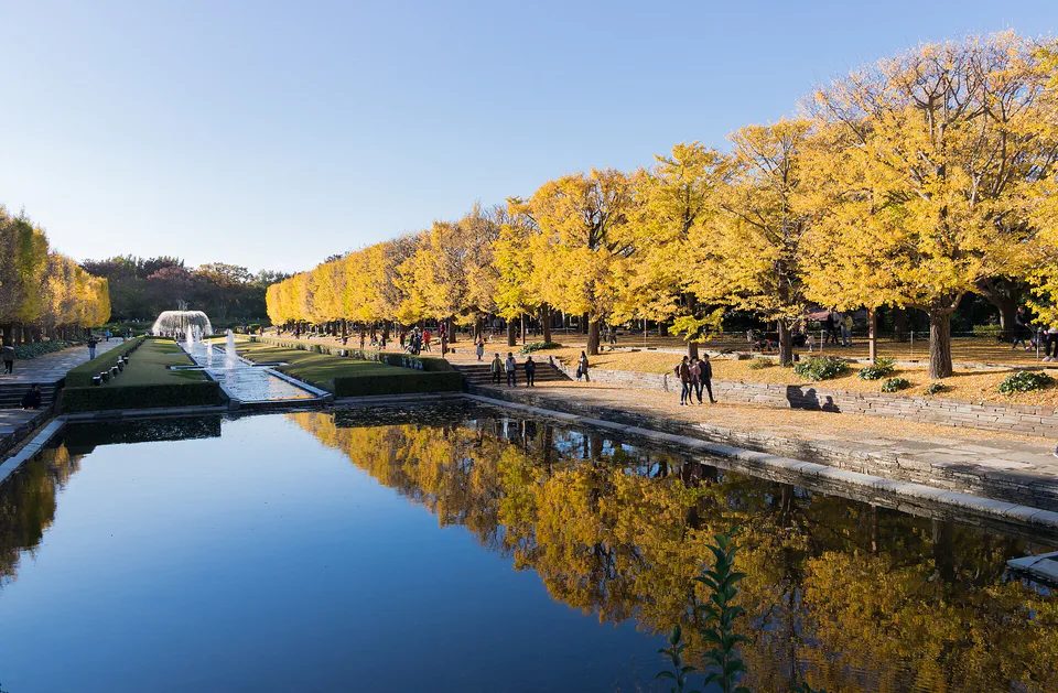 Showa Kinen Park ในฤดูใบไม้ร่วง เหมาะกับทริปครึ่งวันยาวถึงเต็มวันมากกว่าการแวะสั้น ๆ