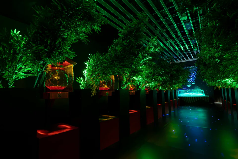 ผลงานตู้ปลาปลาทองในถนนไฟไต้ของนิทรรศการ Art Aquarium Nagoya 2026