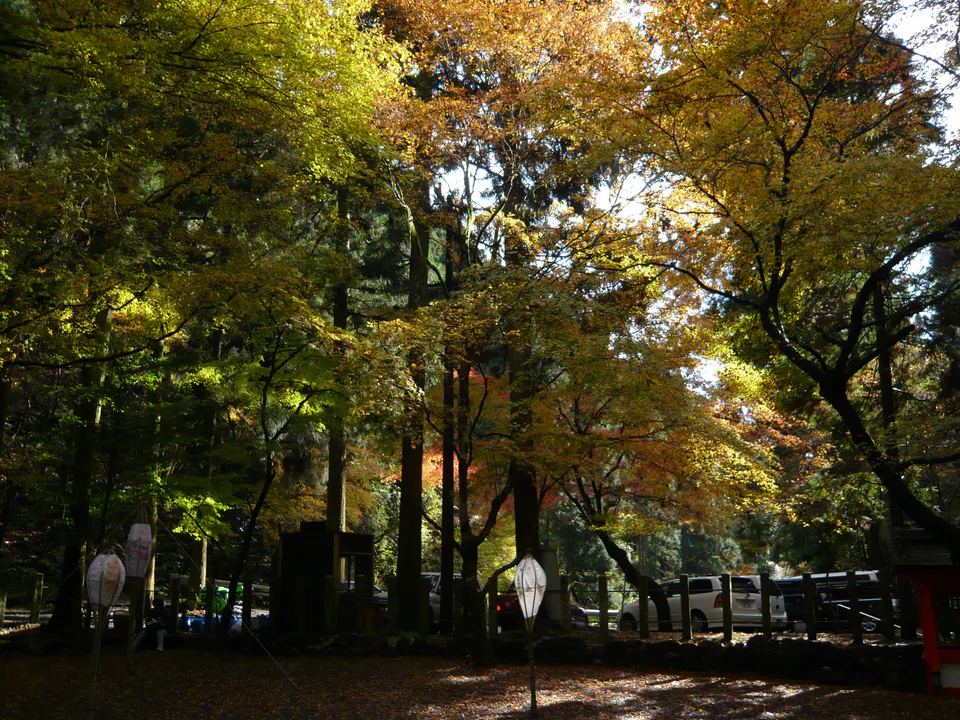 Kifune Shrine à Kyoto : feuillage d'automne dans la vallée et début de la saison des érables.