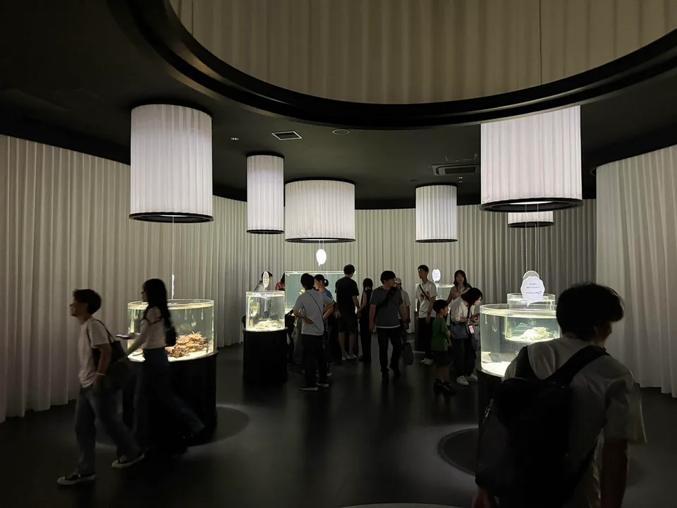 Espace de visite à l'intérieur de NIFREL.