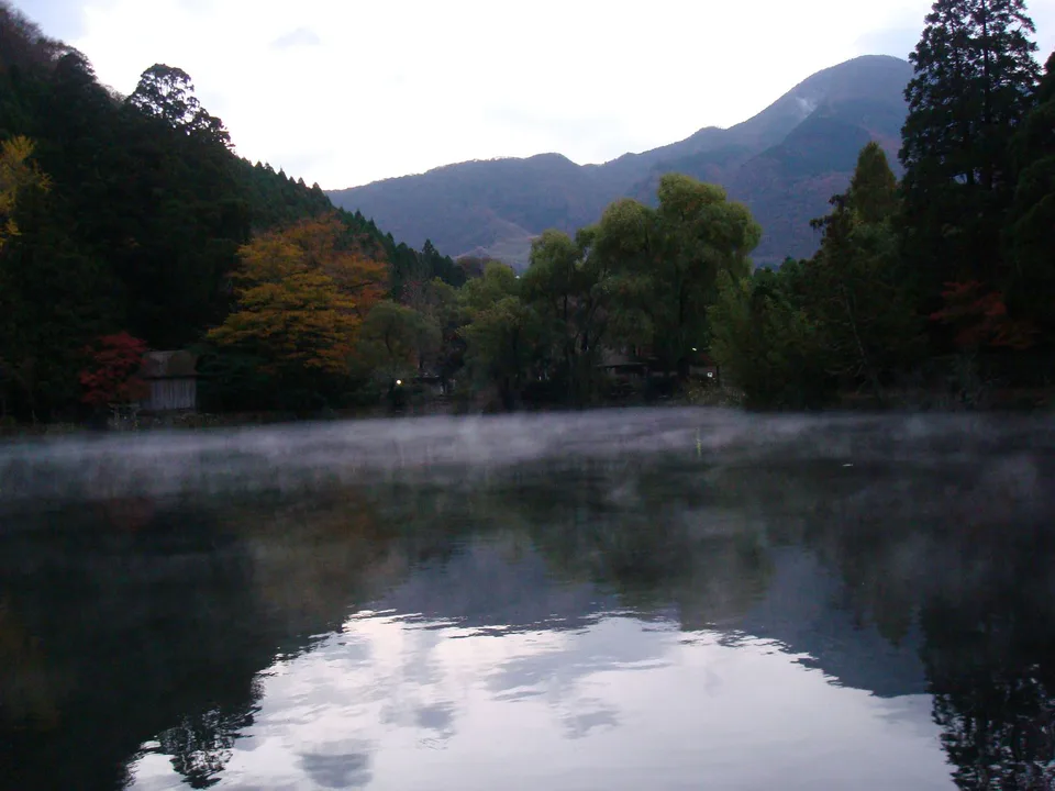 金鱗湖清晨霧氣與秋季樹木，顯示住一晚的晨湖價值