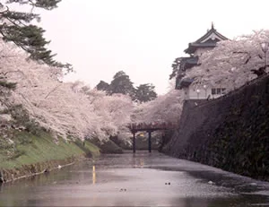 Château de Hirosaki, n°4 des 100 célèbres châteaux du Japon : le donjon inaccessible, en cours de déplacement, que vaut réellement le ¥320 de 2026 ?