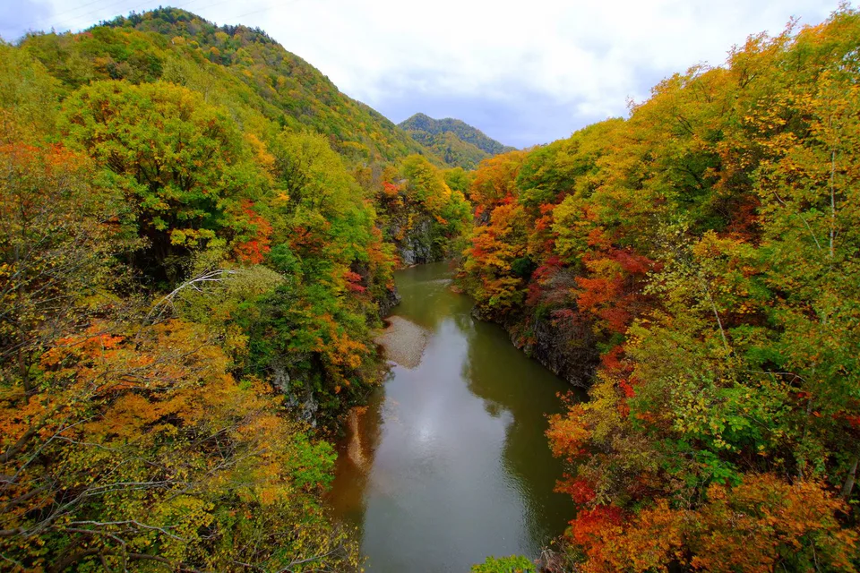 Autumn foliage on the road toward Jozankei, illustrating an onsen hotel base near Sapporo
