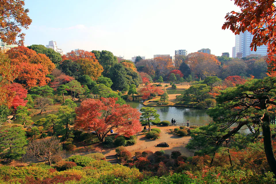 Late-autumn panorama of Rikugien Garden in Tokyo for a slower senior-friendly foliage route