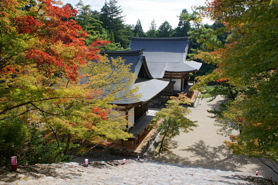 Kyoto Takao Jingo-ji : feuillage d'automne et escaliers de la vallée.