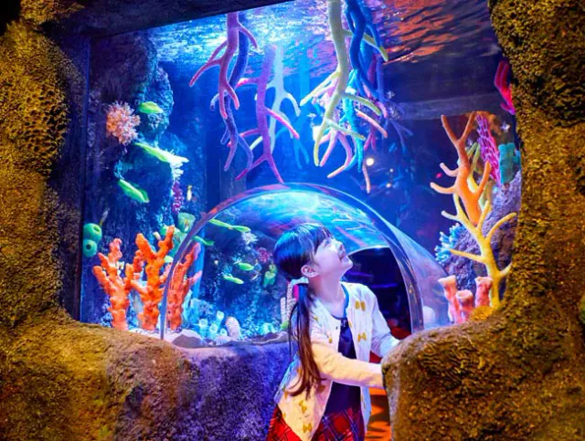 SEA LIFE Nagoya aquarium inside LEGOLAND Japan Resort, showing why the ¥800 Combo is a same-day time and energy decision