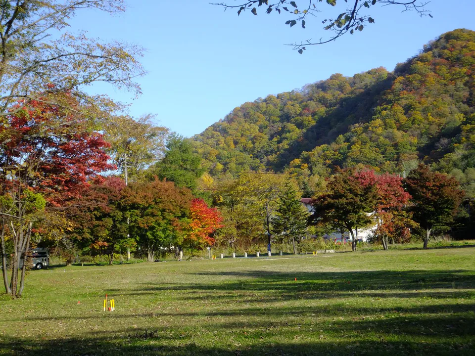 도와다호 가을 호숫가와 단풍 산림
