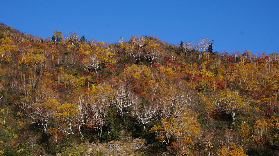 Période et itinéraires pour l'automne au Japon central : Tateyama, Kamikōchi, Takayama, Kanazawa jusqu'à Nagoya