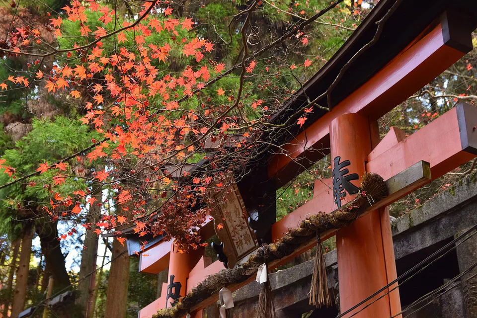 Fushimi Inari torii gates: a free Kyoto anchor lets one low-cost temple admission carry the rest of the day