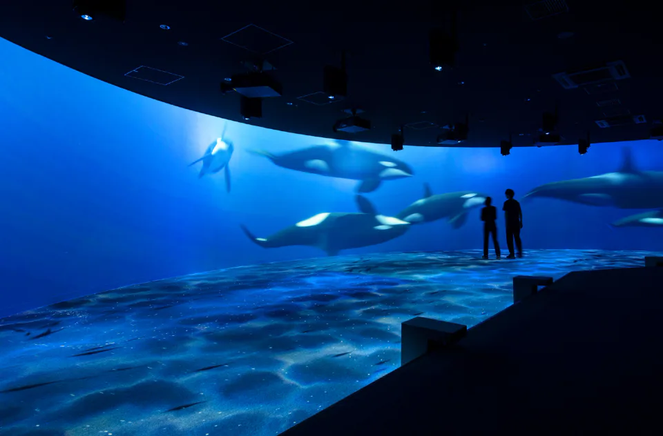 AOAO SAPPORO ชั้น 6 ห้อง BLUE ROOM การฉายภาพดิจิทัลแบบ immersive ของทะเลชิเรโตะ