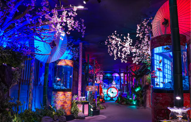 Le musée des poissons rouges de Nara présente un espace artistique constitué de parasols japonais, d’éclairages et d’aquariums à poissons rouges.