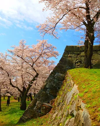 Japan’s 100 Famous Castles No.6: Morioka Castle — The Ruins Are Free, but Is the ¥450 Museum Worth It?