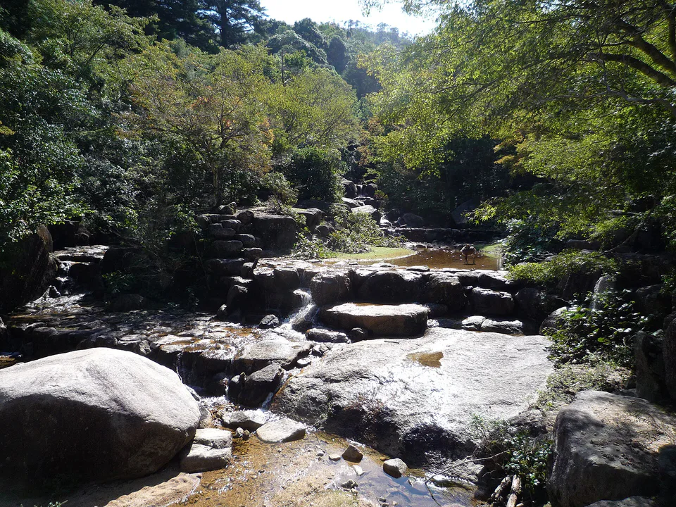 Miyajima late-November autumn foliage and stream scenery