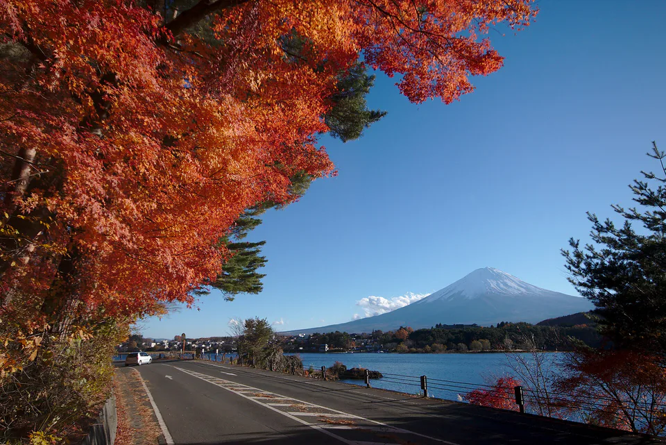 Lake Kawaguchi Maple Corridor: Festival, Illumination, Access and Hotels