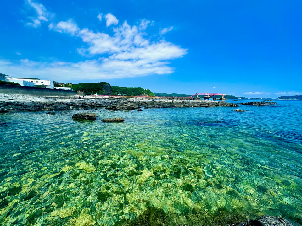 Kushimoto Marine Park and the clear coastal waters of southern Wakayama
